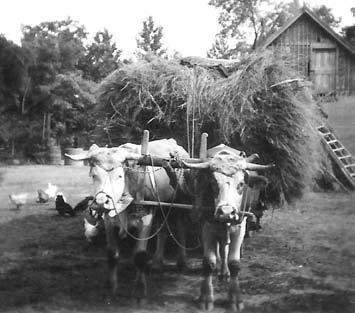 Az 1950-es években a parasztságra is nehéz idõk jártak, beszolgáltatás, adózás, padláslesöprés nehezítette az egyébként is nehéz életkörülményeket.