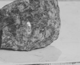 Ảnh mẫu cục các đá magma pha đá mạch phức hệ Đại Lộc Phức hệ Bà Nà (G/Kbn): Trong phạm vi khu vực nghiên cứu phức hệ Bà Nà xuất lộ với diện tích lớn, phân bố ở phía Tây khu vực Hố