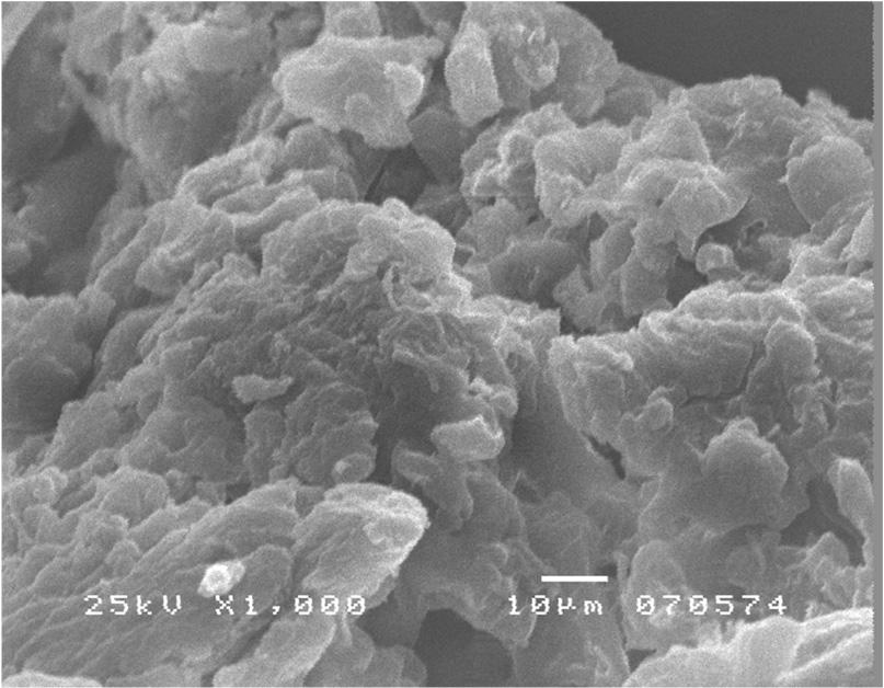 Trên các ảnh SEM, tinh bột sắn ban đầu thể hiện là một hệ dị thể với những hạt riêng lẻ, dạng cầu với kích thước nằm trong khoảng 0 μm, còn sản phẩm WSAP dạng khối đồng thể bởi cấu trúc hạt của tinh