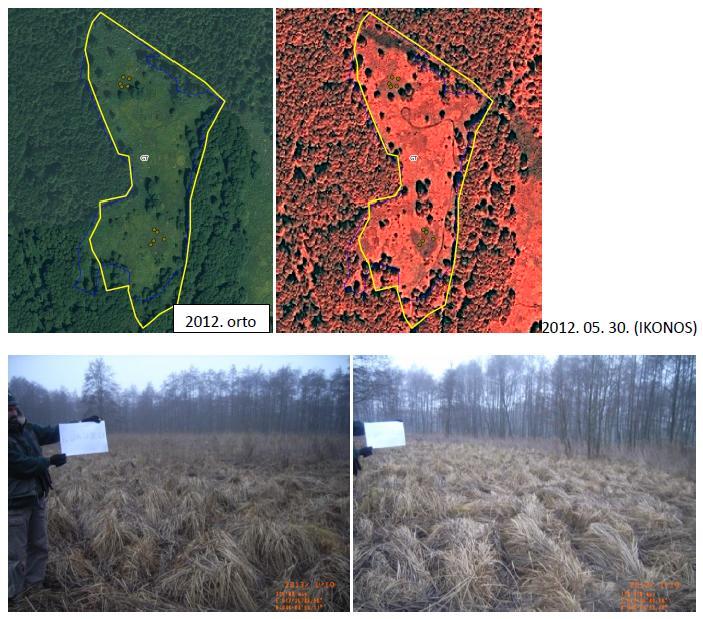 Water-affected grasslands, eligible or not?