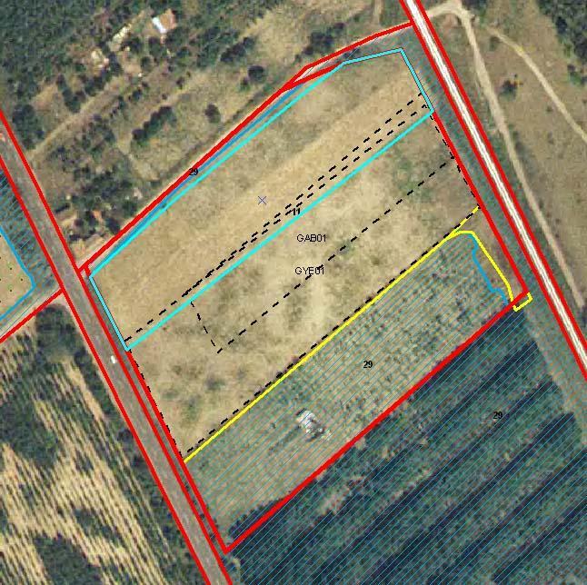 RFV: short rotation coppice -