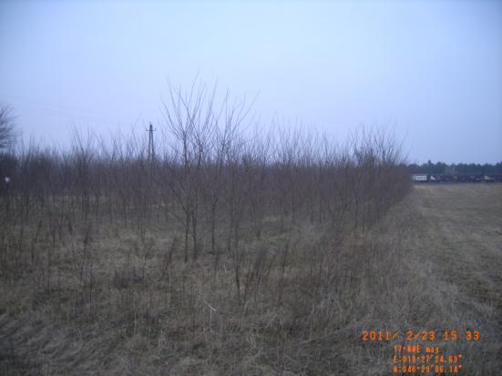 SAPS) DF65E-1-09 VHR 2005