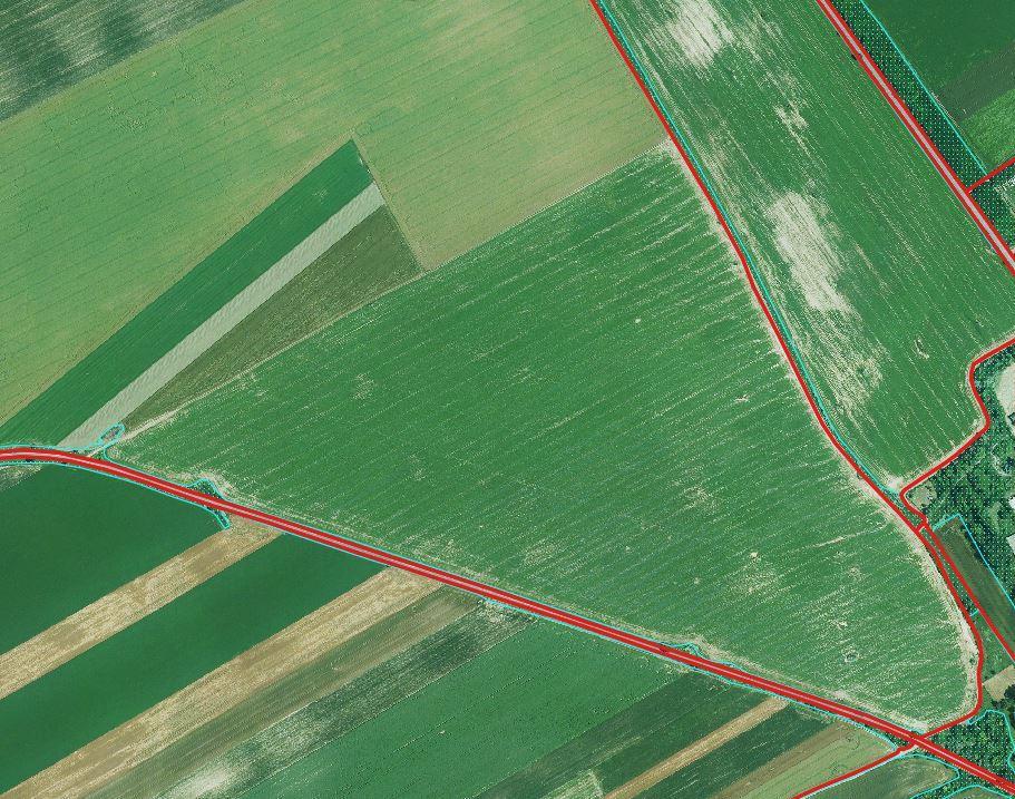late summer image how to detect