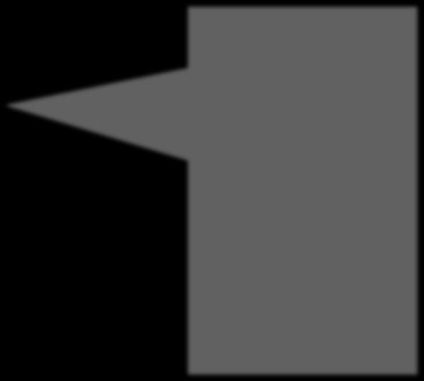 features are captured and only the covered area has to be examined for smaller MMU.