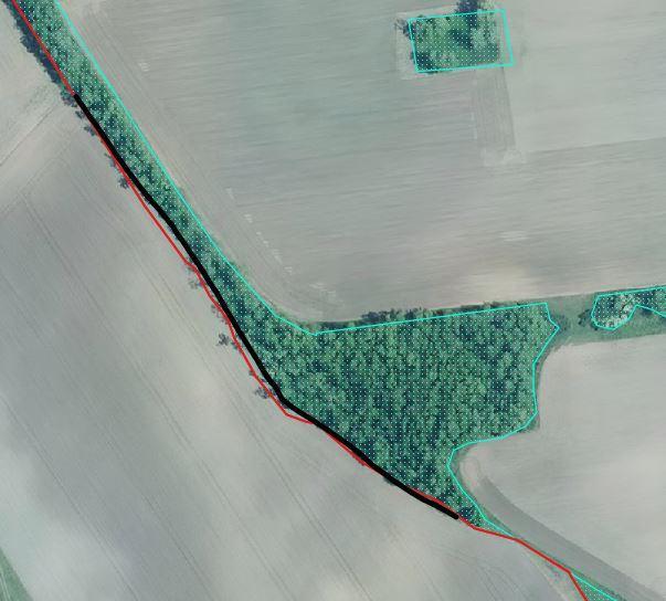 The black line is a declaration for a strip along forest edge with production.