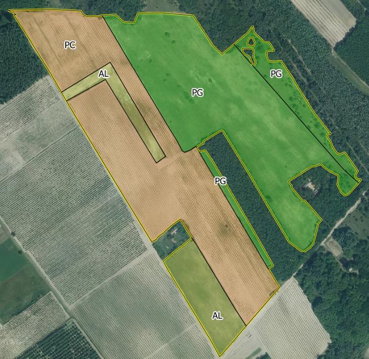 GSAA: parcels cannot overlap with each other + with non-eligible area tolerances/limits?