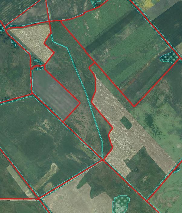 Orto 2015 PP with hay cut