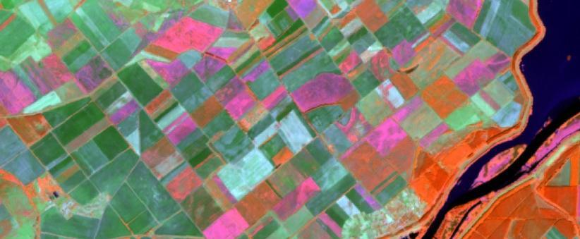 accuracy compared to independent reference data: 87% SENTINEL-2 color composite 14/08/2015 (NIR, SWIR1,