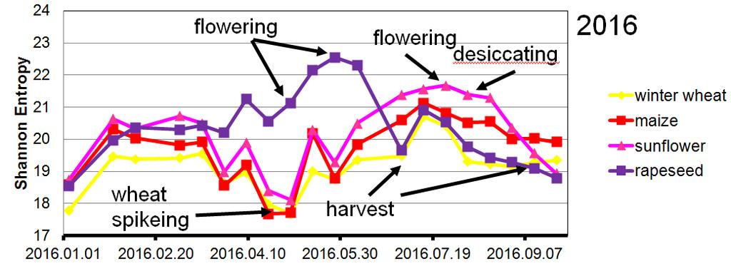 have high potential to retrieve valuable information about the crop status,