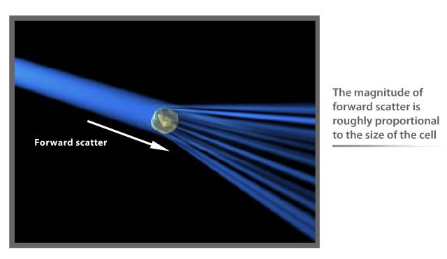 rendszer Lézerek (350-363, 420, 457, 488, 514, 532, 600, 633 nm) Argon ion, Krypton ion,