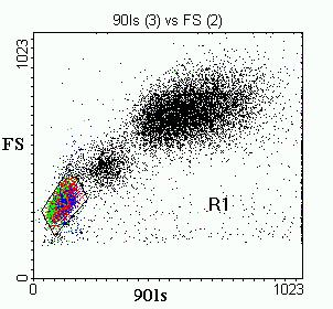 Fényszórás Forward Scatter Neutrophils Monocytes Lymphocytes 0 200 400 600 800 1000 90 Degree Scatter Humán