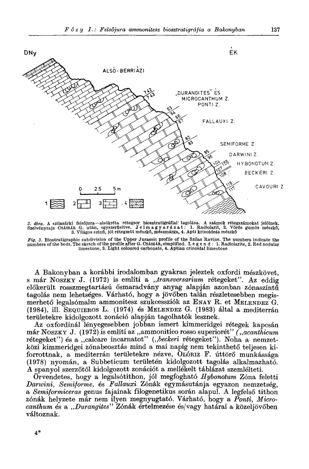 F ő z y I.: Felsőjura ammonitesz biosztratigráfia a Bakonyban 137 3. ábra. A szilasárki felsőjura alsókréta rétegsor biosztratigráfiai' tagolása. A számok rétegszámokat jelölnek.
