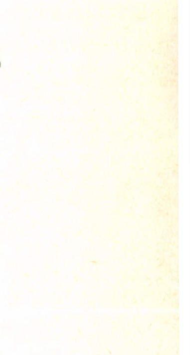 GEOELEKTROMOS KUTATÁS 229 2.