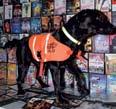 1 Négylábú kalózvadászok A világon több rendőri egység is alkalmaz kutyákat az illegális DVD-másolók rejtekhelyeinek felderítéséhez.