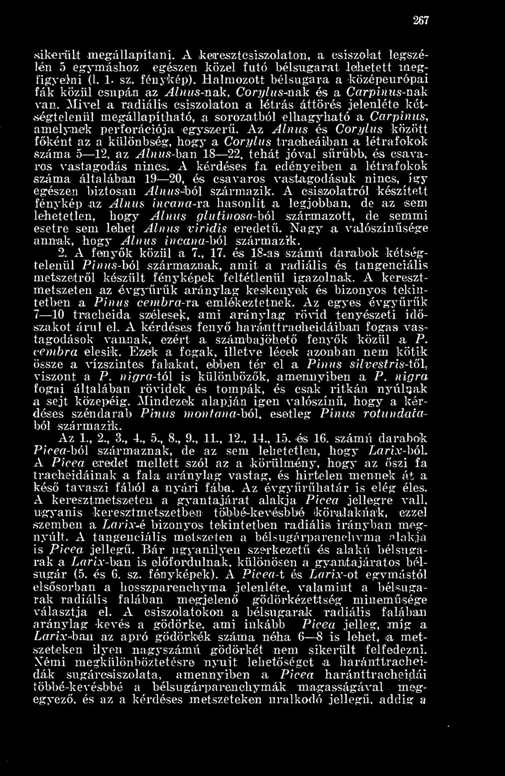 A kérdéses fa edényeiben a létrafokok száma általában 19 20, és csavaros vastagodásuk nincs, így egészen biztosan Alnus-ból származik.