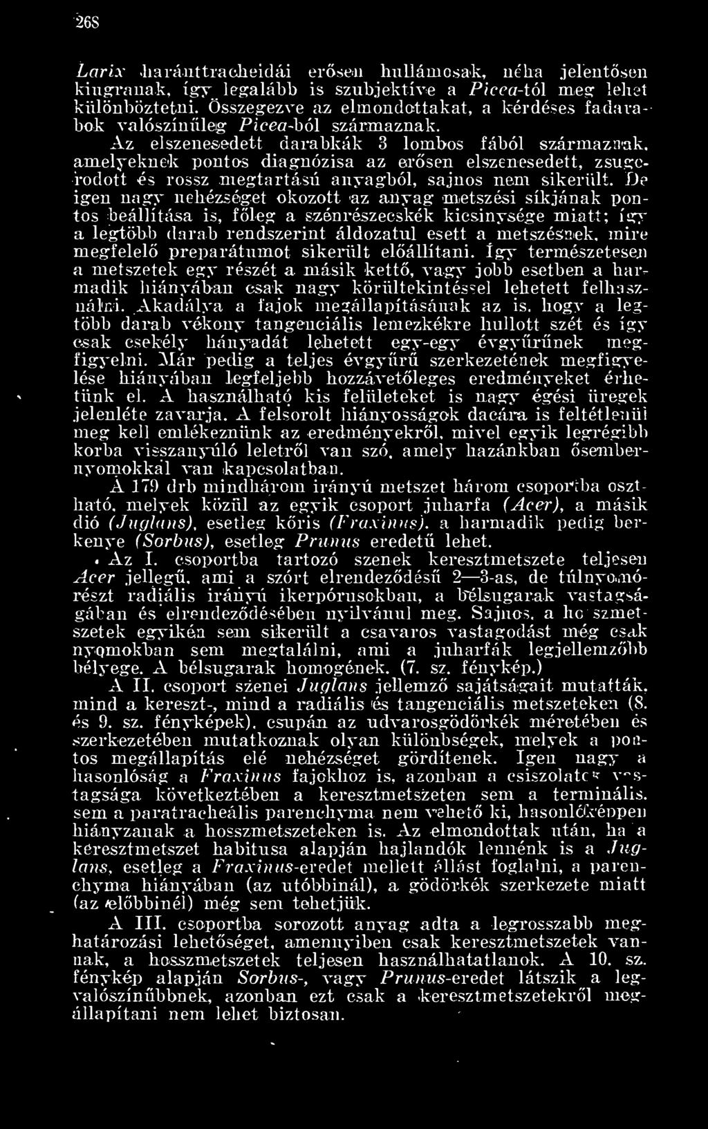 Az elszenesedett darabkák 3 lombos fából származnak, amelyeknek pontos diagnózisa az ersen elszenesedett, zsugorodott és rossz megtartású anyagból, sajnos nem sikerült.