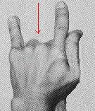 7. A gyökércsakra kinyitása A gyökércsakra kinyitásához tedd a kezeid a képen látható helyzetbe, ami hasonlít a szarv jelére.