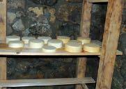 Tejünk az érlelt sajtok készítésére kiválóan alkalmas, ami a sajtok piacra juttatásakor lényeges szempont, hiszen az érlelésnek köszönhetően csökken a termelő piaci kiszolgáltatottsága, maga döntheti