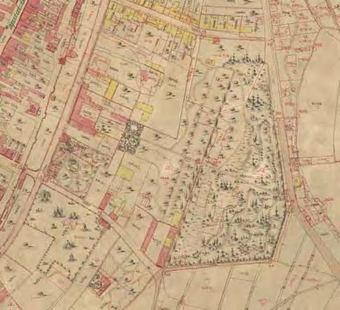 Stav parciel dnešného nemocničného areálu v r. 1869 výrez z historickej katastrálnej mapy z r. 1869, reambulovanej v r.