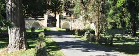 Nemocničný park, hlavná kompozičná os vedúca od Probstnerovej kúrie Majstra Pavla 4,
