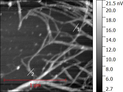 4.12. ábra. SM vegyes nanocső kötegeket tartalmazó minta topográfiai képe.