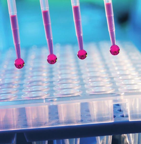 Osteoporosis komplett szűrőcsomag 23 100 Ft Legyen tisztában csontjai állapotával! Ha elmúlt 50 éves és kíváncsi, ezek a vizsgálatok komplex képet mutatnak. Előzze meg a csontritkulás kialakulását!