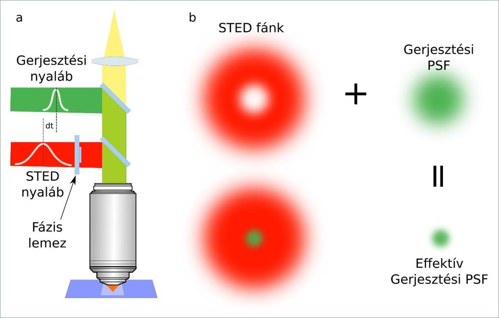 ahol λ a STED nyaláb hullámhossza, NA az objektív numerikus apertúrája, I a STED nyaláb intenzitása, Is pedig a fluoreszcens jelölő anyag hullámhossz függő jellemzője, az az intenzitás, ahol a