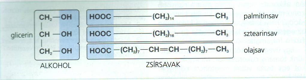 LIPIDEK Közös jellemzőjük: jól oldódnak zsíroldó szerekben