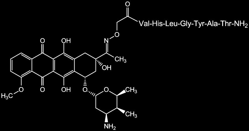 9. ábra Aoa-Leu-Arg-Arg-Tyr-Val-His-Leu-Gly-Tyr-Ala-Thr-NH 2 (3) 4.1.