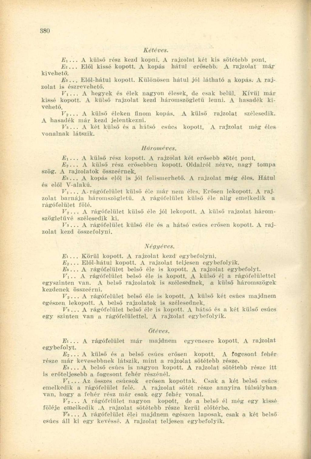 Ej... A külső rész kezd kopni. A rajzolat két kis sötétebb pont. Ei... Elől kissé kopott. A kopás hátul erősebb. A rajzolat már kivehető. Ei... Elől-hátul kopott. Különösen hátul jól látható a kopás.