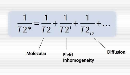 T2* Az obszervált transzverzális relaxáció (T2*) több különböző komponens összege Many physical effects result in dephasing.