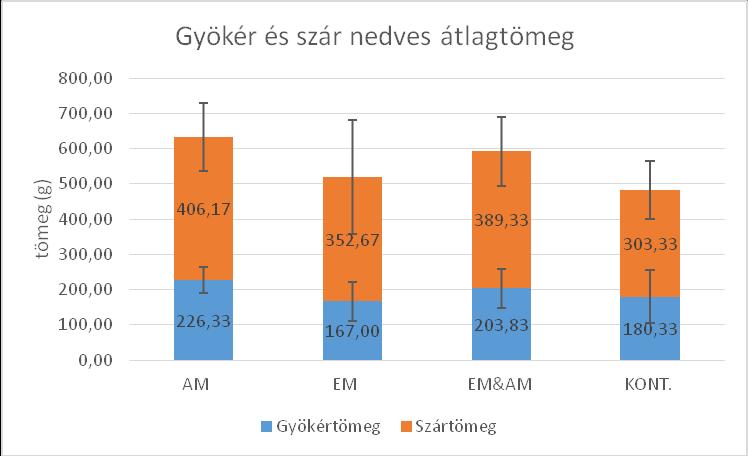 EM AM KONT.