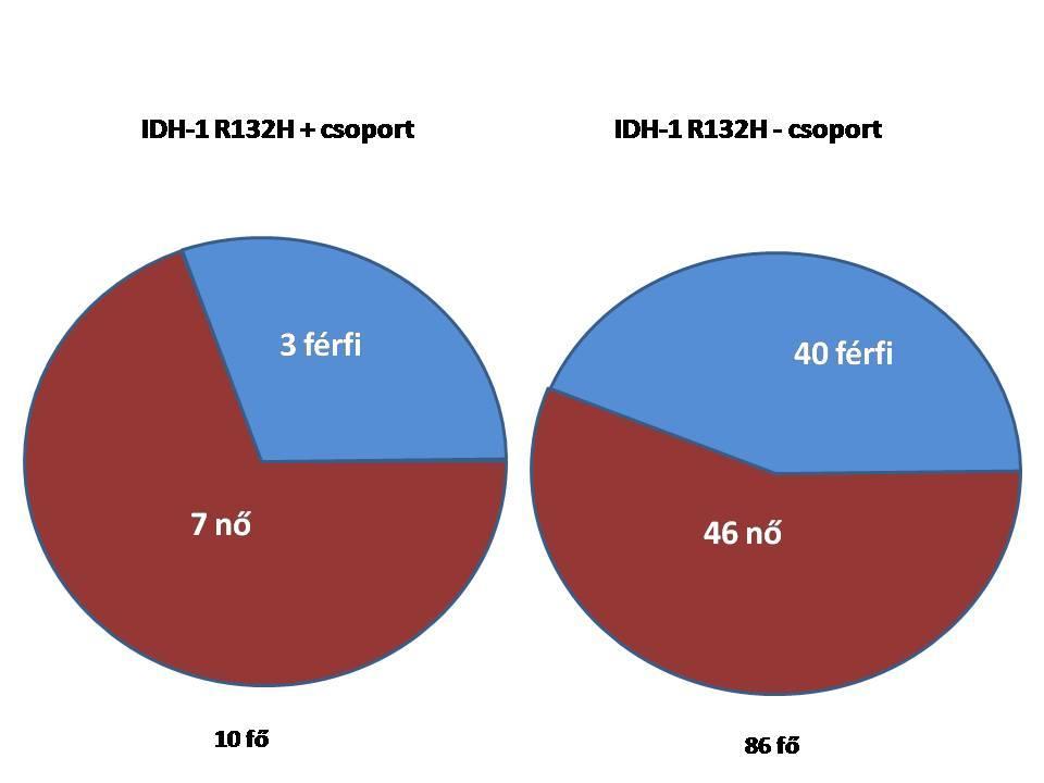 19. Ábra IDH-1R132H mutációk megoszlása nemek szerint A 19-es ábra két oldala az IDH-1 R132H tesztre pozitív és negatív eredményt adott csoport nemi arányát veti össze.