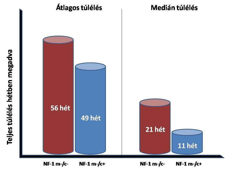 26. Ábra NF-1 m-/c+ és m-/c- csoport túlélési aránya A 26-os ábra a neurofibromin IHC teszt m-/c- és m-/c+ csoportjainak eredményeit hasonlítja össze a túlélési adatok szerint.