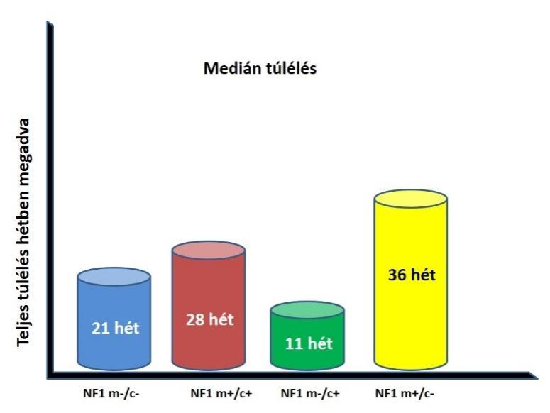 30. Ábra- Az NF-1 festődési típusok átlagos túlélése A 30-as ábrán az átlagos túlélési adatokat jelenítettük meg az NF-1 festődési típusok szerint.