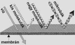 Membránműveletek mérettartománya A fordított ozmózis elve Ionok, kis molekulák