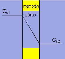 hajtóerő: nyomás (2-20 bar) D L K P m pórusátmérő pórus hossza megoszlási hányados