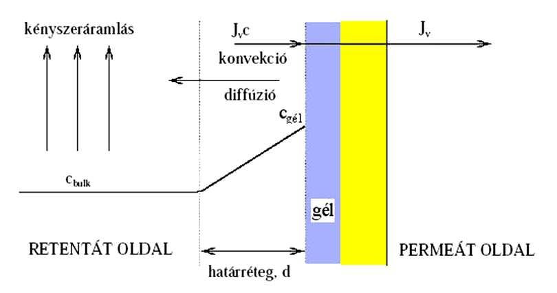 elméleti koncentrációprofiltól Eltérések az elméleti koncentrációprofiltól Koncentrációs polarizáció A határrétegben: J K