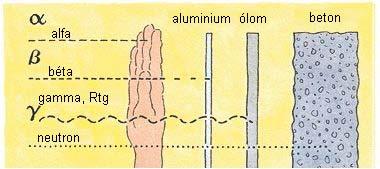 Az ionizáló sugárzások és az anyag kölcsönhatása Gondolat,