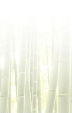 gerincben, fájdalmat okozva. A Miracle Bamboo elősegíti a megfelelő ülőhelyzetet és a helyes testtartást!