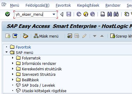 6. A HostLogic SAP-EKAER megoldás működése 6.