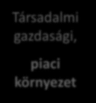 Kompetencia alapú közeg szervezeti