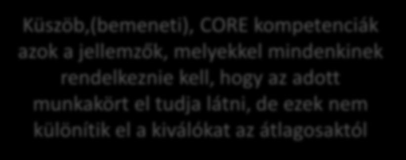 iskolai végzettség, fizikai, pszichés, egészségi pályaalkalmasság Az egyéni