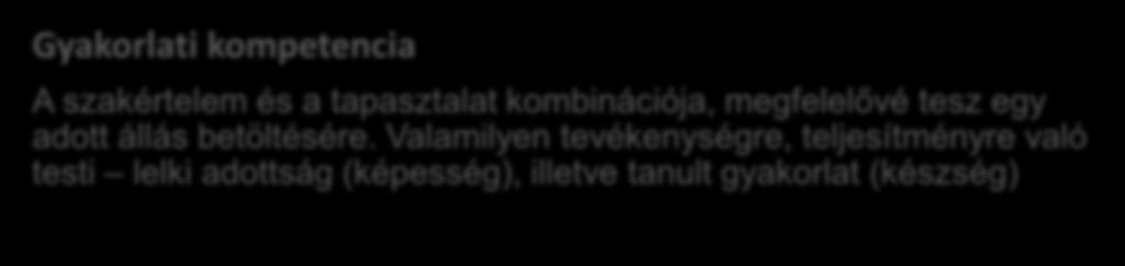 Teljesítmény kompetencia Gyakorlati