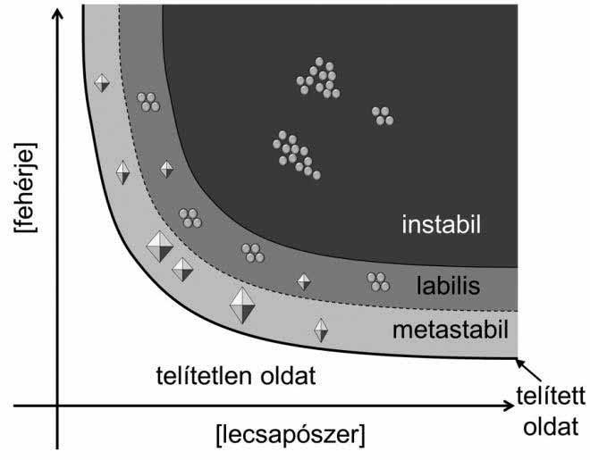 Kölcsönható szerkezeti elemek és kölcsönhatási felszín azonosítása egy fehérje-fehérje 213 1.