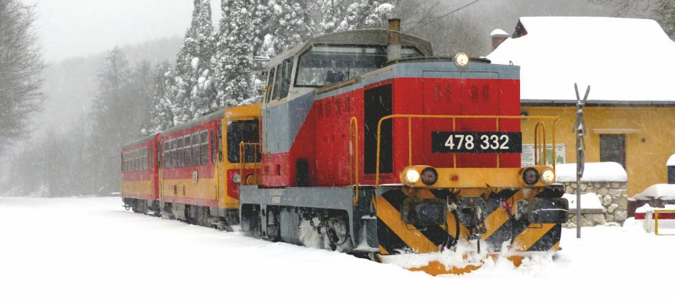 A Bakonyvasút története röviden A Bakonyt keresztben átszelő 11-es számú vasútvonal a hazai viszonylatban ritkaságnak számító hegyi vasutak egyike.