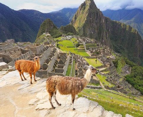 legmagasabb, hajózható taván, a Titicaca-tavon; és sétálunk a misztikus Machu Picchu romvárosában. A Ballestas-szigeteken pedig mini Galápagos-on érezhetjük magunkat! 1. nap: Budapest - Lima Repülés.