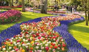 4. nap: Aalsmeer - Volendam - Marken AALSMEER ad otthont a világ legnagyobb virágárveréseinek. Látogatás Hollandia leghíresebb kertjében, KEU- KENHOF-ban.