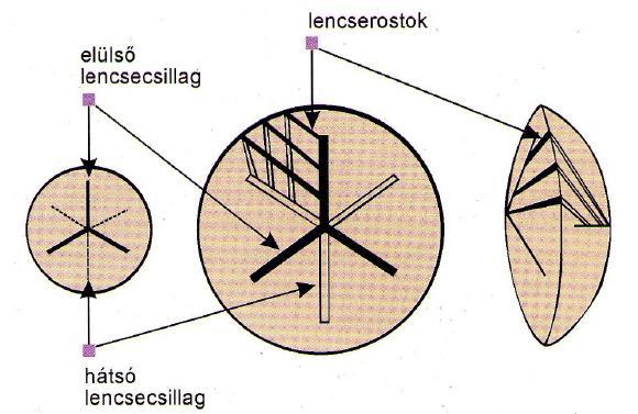 7. ábra A lencsecsillag orientáció [11] 2.