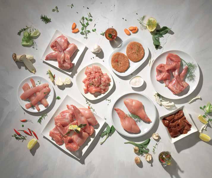 Lidl Magyarország Bt. Címe: H-1037 Budapest, Rádl árok 6. Postacíme: H-1037 Budapest, Rádl árok 6. Telefon: +361 346 6000 e-mail: info@lidl.